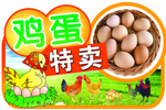 鸡蛋吊牌