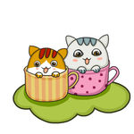 杯中小猫