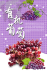 有机葡萄