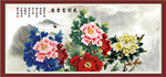 牡丹花 花开富贵