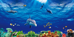 海洋生物