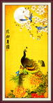 孔雀牡丹