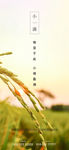 小满海报