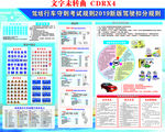 驾校招生培训准则展板