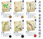 中药（三）