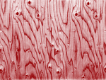 木纹
