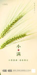 小满