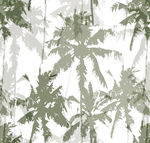 大树 剪影