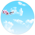 圆形樱花蓝天白云