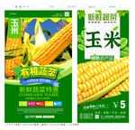 玉米