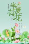 半夏荷花 莲花