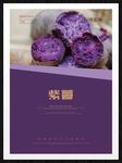 紫薯