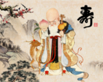 老寿星
