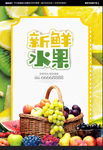 水果广告