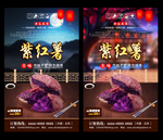 紫红薯 紫红薯海报 紫红薯背景