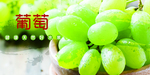 葡萄