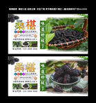 桑葚