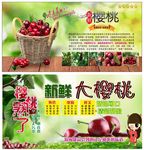 樱桃
