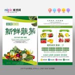 蔬菜宣传单