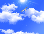 天空