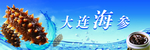 大连海参