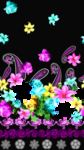 玫瑰花