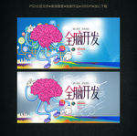 大脑 全脑开发 智力