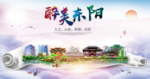 东阳醉大美卫生文明城市海报