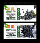 黑提