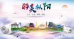 枞阳醉大美卫生文明城市海报