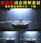 梦幻白色羽毛花瓣粒子飘落视频
