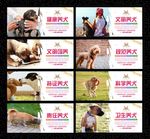 文明养犬