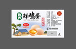 鲜鸡蛋标签