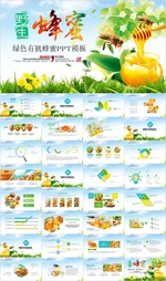 蜂蜜蜜蜂养蜂厂蜂王浆PPT