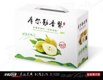 简洁库尔勒香梨包装展开图