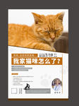 猫咪