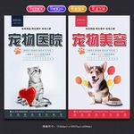 宠物挂图
