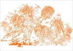 鸟语花香 手绘画