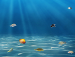 海洋