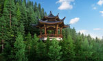 山上亭子