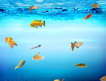 海洋馆