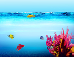海洋生物