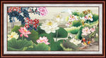 国画荷花
