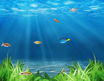 海洋世界