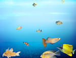 海洋生物