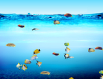 海洋生物