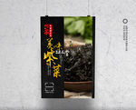 紫菜