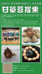 菩提果零食宣传海报