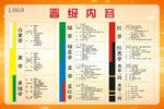 跆拳道晋级内容