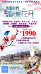 春暖花开